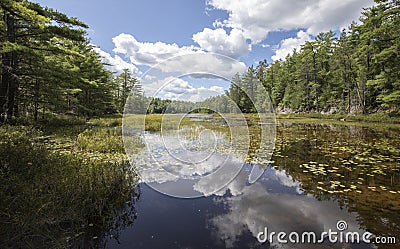 Beauty of northern Ontario Canada in summer Stock Photo