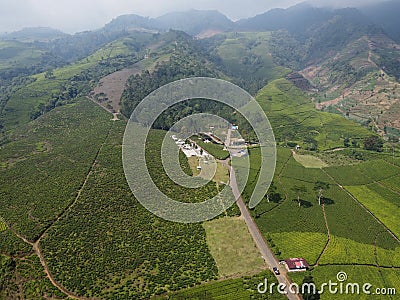 The beauty of the Panorama black tea plantation area Kaligua Paguyangan Brebes Indonesia Stock Photo