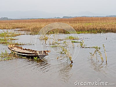 Beauty panorama wrench old boat wild papyrus swamp Stock Photo