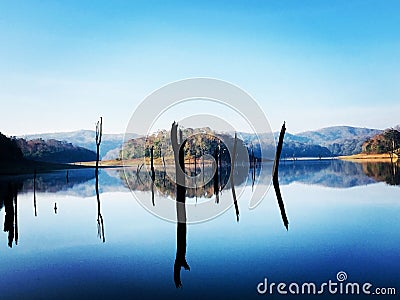 Beauty of Periyar Stock Photo