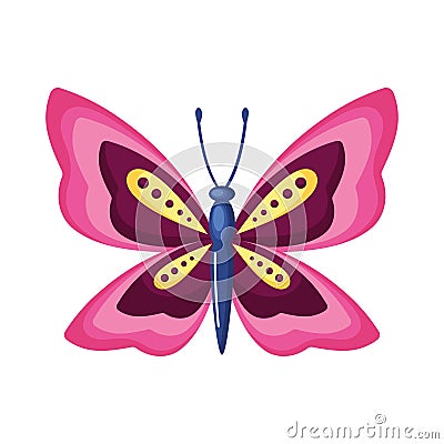 beauty pink butterfly insect Vector Illustration