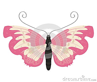 beauty pink butterfly insect Vector Illustration