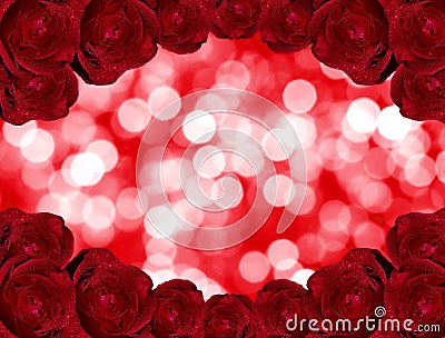 Beauty roses on red bokeh background. Stock Photo