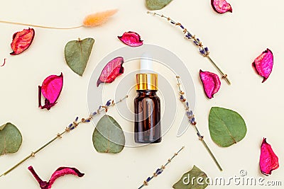 Beauty. Serum and Dry herbs. Skin care. Healthy lifestyle Stock Photo