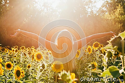 Beauty sunlit woman on yellow sunflower field Freedom and happiness concept Stock Photo