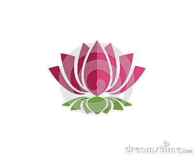 Beauty Vector Lotus flowers Vector Illustration