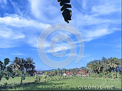 The beauty of a very beautiful village in the morning before noon Stock Photo