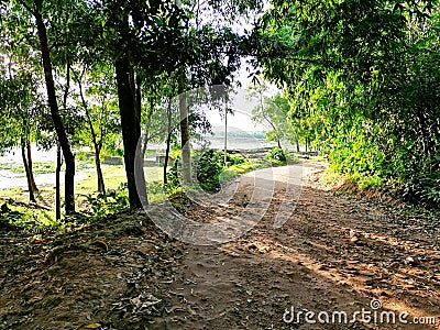 Beauty of Village path in Gazipur, Bangladesh Stock Photo