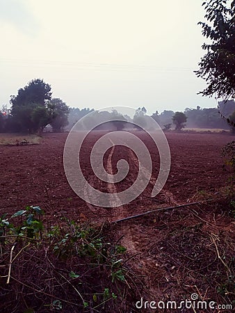 Beauty of village side agricultural land view in the morning sunrise time every day. Such a so beauty so pure freshness area. Stock Photo