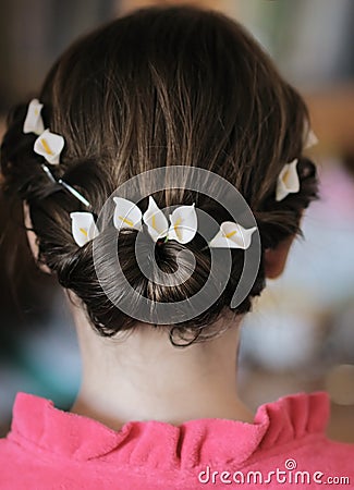 Beauty wedding hairstyle Stock Photo