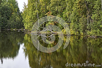 The beauty of Zalavruga is the location of the White Sea petroglyphs. Lake reflections Stock Photo