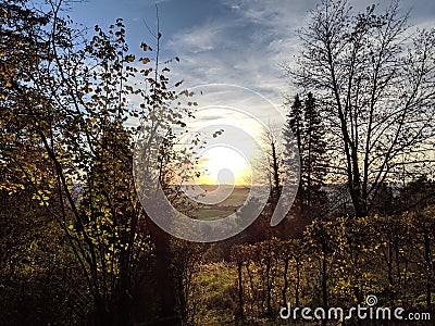 Beautyful sunset in swabian wood Stock Photo