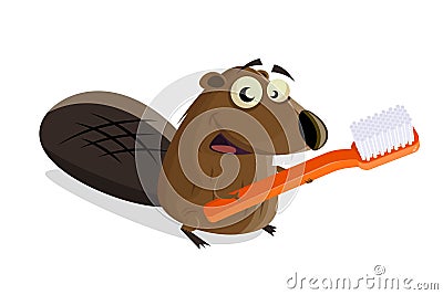 Cartoon beaver with toothbrush Vector Illustration