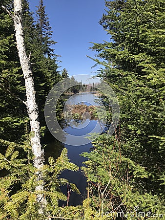 Beaver house at the Gatineau park Stock Photo