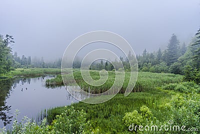 Beaver Lake Stock Photo