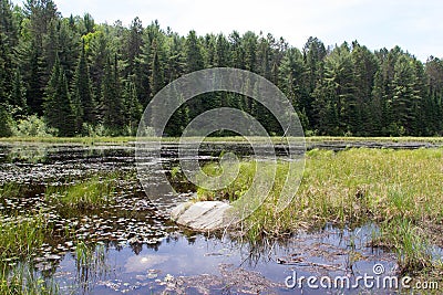 Beaver Lakes, Algonquin Provincial Park 3 Stock Photo