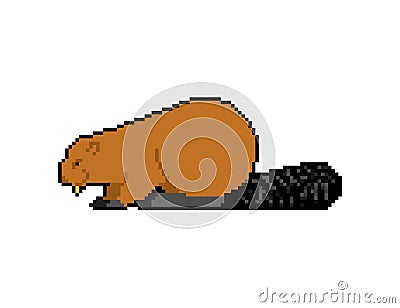 Beaver pixel art. 8 bit swamp rodent. pixelated Vector illustration Vector Illustration