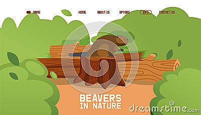 Beaver sit stump, wild animal sitting on fallen tree, shrub, forest, bush, flat vector illustration. Contact, about us Vector Illustration