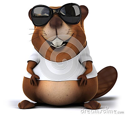 Beaver with a white tshirt Stock Photo