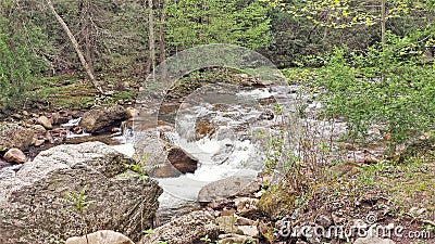 Beaverdam Creek at Backbone Rock Stock Photo