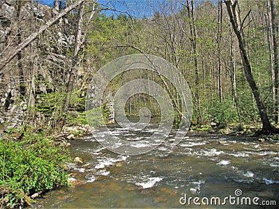 Beaverdam Creek at Backbone Rock Stock Photo