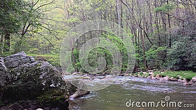 Beaverdam Creek Stock Photo