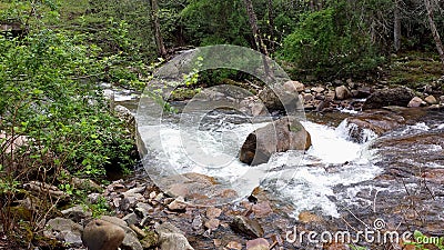 Beaverdam Creek Stock Photo