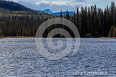 Beaverdam Provincial Recreation Area Clearwater County Alberta Canada Stock Photo