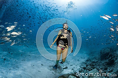 Beaytiful Latina Diver Inside a school of fish Stock Photo