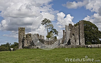 Bective Abbey Stock Photo