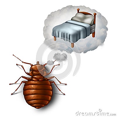 Bed Bug Dreaming Cartoon Illustration