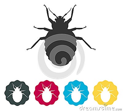 Bed Bugs - Genus Cimex - Stock Illustration Vector Illustration