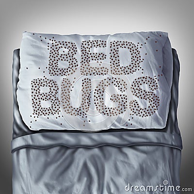 Bed Bugs On Pillow Stock Photo