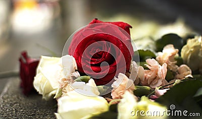 Bed of roses in Oslo after terror attacks Editorial Stock Photo