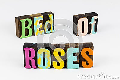 Bed roses rose garden love romance valentine beautiful peace Stock Photo