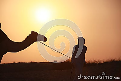 Bedouin with camel Stock Photo