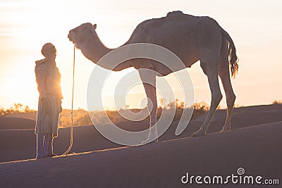 Bedouin and camel on way through sandy desert Beautiful sunset with caravan on Sahara, Morocco Desert, Africa Editorial Stock Photo