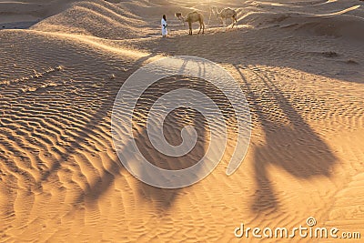 Bedouin and camel on way through sandy desert Beautiful sunset with caravan on Sahara, Morocco Desert with camel and nomads Stock Photo