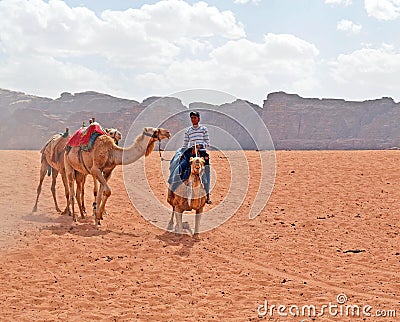 Bedouin Camels Editorial Stock Photo