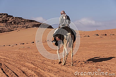 Bedouin nomads camp with camels Editorial Stock Photo