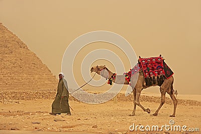 Bedouin walking with camel near Pyramid of Giza, Cairo Editorial Stock Photo