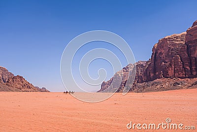 Bedouins and camels Stock Photo