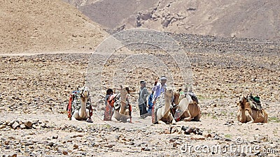 Bedouins in camp Editorial Stock Photo