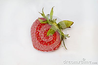 Bedraggled Strawberry Stock Photo