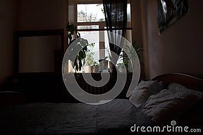 Bedroom interior detail with houseplants silhouettes in low light Stock Photo