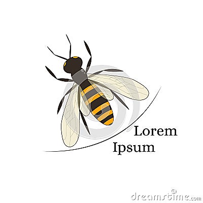 Bee. Black and orange silhouette of the bee. Icon insect. Vector Illustration