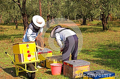 Bee boxes and bee keepers 2 Stock Photo