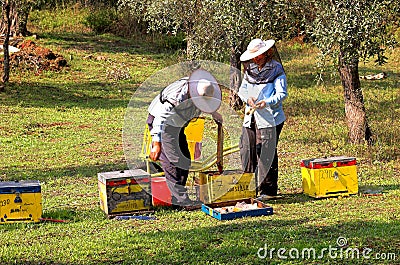 Bee boxes and bee keepers 5 Stock Photo