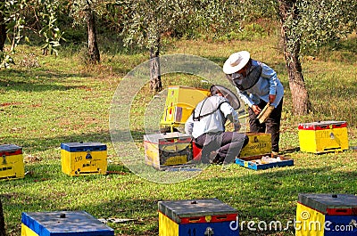 Bee boxes and bee keepers 6 Stock Photo