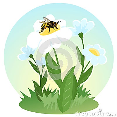 A bee collects nectar on the flowers. Life of flying insects. Beekeeping. Children's Vector Illustration